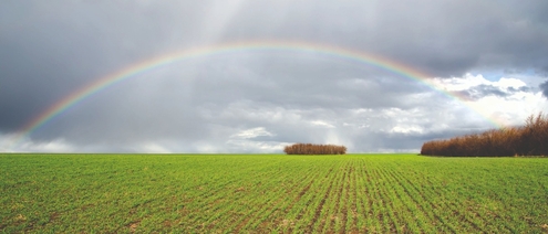 Wetterphänomen Regenbogen